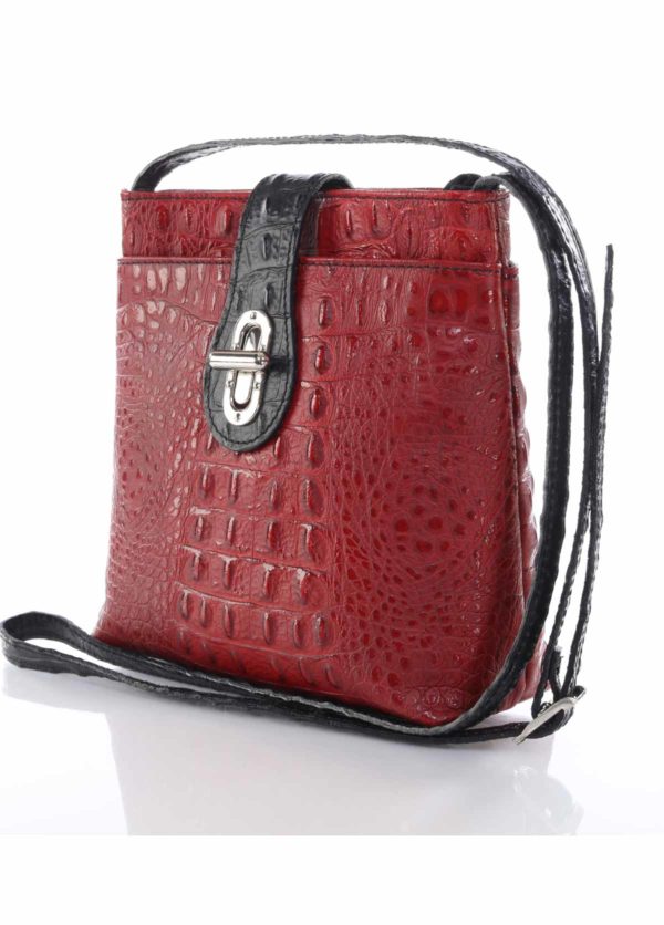 Alice-Cross-Body